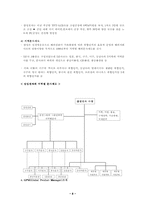 삼성전자의 글로벌 경영전략-8