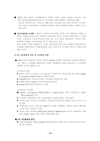 삼성전자의 글로벌 경영전략-13