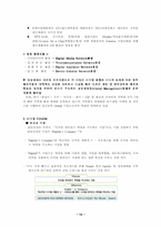 삼성전자의 글로벌 경영전략-14