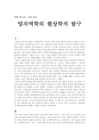 [인식론]양자역학의 현상학적 탐구-1