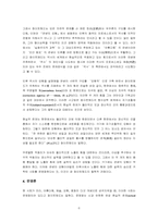 [철학 독후감]화이트헤드의 『관념의 모험』-6