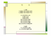 [외식경영론] 패밀리레스토랑 `스카이락` 조사-2