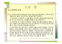 [외식경영론] 패밀리레스토랑 `스카이락` 조사-5