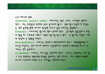 [외식사업] 빕스(VIPS) 조사-13