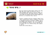 [외식사업론] 신라명과 조사-17
