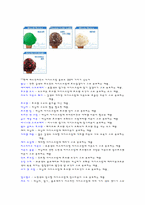 [외식산업] 베스킨라빈스31 조사-10