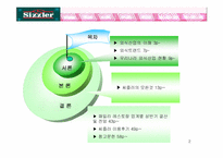 [외식산업경영론] 페밀리레스토랑 `씨즐러` 조사-2