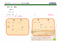 [외식산업론] 페밀리레스토랑 `프레스코` 조사-9
