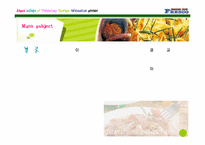 [외식산업론] 페밀리레스토랑 `프레스코` 조사-10