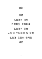 우리나라의 팀제-2