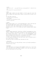 [컴퓨터공학] 웹보안- 인터넷보안-9