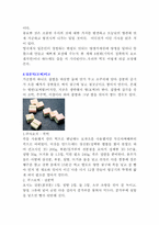 [한국전통음식] 떡 조사-18