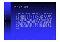 [그래픽산업] 3차원 그래픽스 산업-17