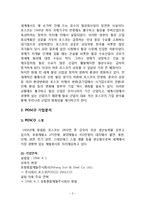 포스코 POSCO 경영전략분석및 경영성공요인과 포스코 향후방향분석-3