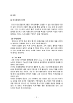 포스코 POSCO 경영전략분석및 경영성공요인과 포스코 향후방향분석-12