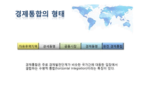 국제통상 - 경제통합과 통상기구-5