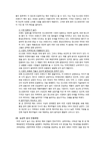 국제경영 - 농심 신라면에 관한 세계 시장진출 전략-5