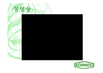 [국제경영사례] 인도네시아 코린도 기업 경영사례-2