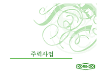 [국제경영사례] 인도네시아 코린도 기업 경영사례-10