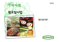 [국제경영사례] 인도네시아 코린도 기업 경영사례-14