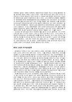 [정치외교] WTO출범의 의미와 미래-3