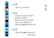 중소기업 사례분석 - 제주 삼다수 기업 분석-2
