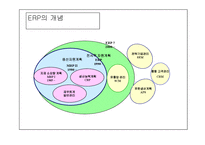 [경영, 경제] ERP개념 및 특징-4