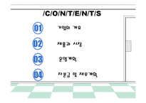 [사업계획서] 다이어트 도시락 배달 전문점-2