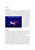 [마케팅성공사례]Pizza Hut의 마케팅 전략 분석과 새로운 마케팅 전략 제시-9
