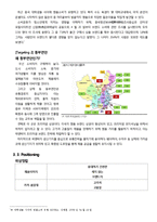 [마케팅 보고서] 락앤락의 중국내수시장 공략과 유통시장확장 전략 - 5C, 4P를 중심으로-9