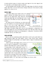 [마케팅 보고서] 락앤락의 중국내수시장 공략과 유통시장확장 전략 - 5C, 4P를 중심으로-11