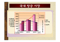 국제관광전략론 - 저가항공의 성공 사례[사우스 웨스트 항공사]-12