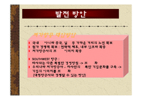 국제관광전략론 - 저가항공의 성공 사례[사우스 웨스트 항공사]-13