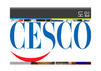 [경영,경제] cesco[세스코] 기업분석-2