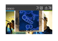 [경영,경제] cesco[세스코] 기업분석-4
