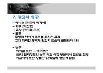 국외기업이 국내에서 성공한 사례 - 나이키에 대한 분석-12