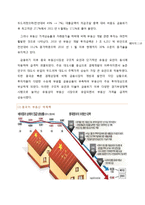 [경제성공학] 향후 중국의 경제 전망, 그것이 우리에 미치는 영향과 중국진출시 자금조달 방법-10