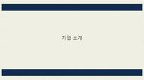 이랜드 기업분석과 경영전략-4