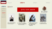 이랜드 기업분석과 경영전략-12