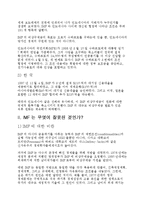 아시아 금융위기에 대해서-3