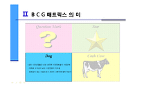 마케팅 - 삼성 BCG 매트릭스를 통한 기업분석-11