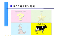 마케팅 - 삼성 BCG 매트릭스를 통한 기업분석-12