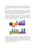국제인적 자원관리 - 국제경영환경-5