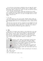 [소호창업] 창업계획서 - 우리의 향취와 멋을 간직한 전통주-7