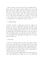 경영전략 - 여행산업 경영전략 분석-8