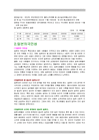 [경제] 기업의 일본 시장 진출 성공기 [사례;농심, 진로]-5