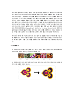 국제관광 전략론 - 타이항공의 관광전략 분석-3