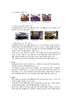 국제관광 전략론 - 타이항공의 관광전략 분석-14