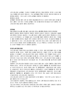 [국제관광전략론] 국제관광산업의 관광전략 사례연구 - 사우스웨스트 항공사(SOUTHWEST항공사)-7