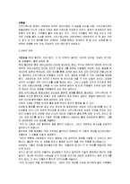 [국제관광전략론] 국제관광산업의 관광전략 사례연구 - 사우스웨스트 항공사(SOUTHWEST항공사)-8